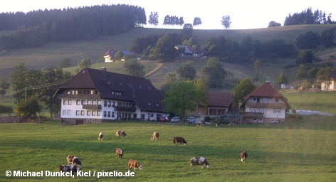 Одно из фермерских хозяйств в Германии