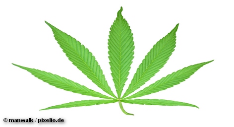 Листья марихуаны