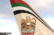Авиакомпания из эмирата Абу-Даби Etihad Airways готовится войти в бизнес национального итальянского авиаперевозчика Alitalia.