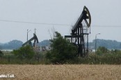 Компания Central European Petroleum GmbH приступила к бурению пробной нефтяной скважины на юге федеральной земли Бранденбург.